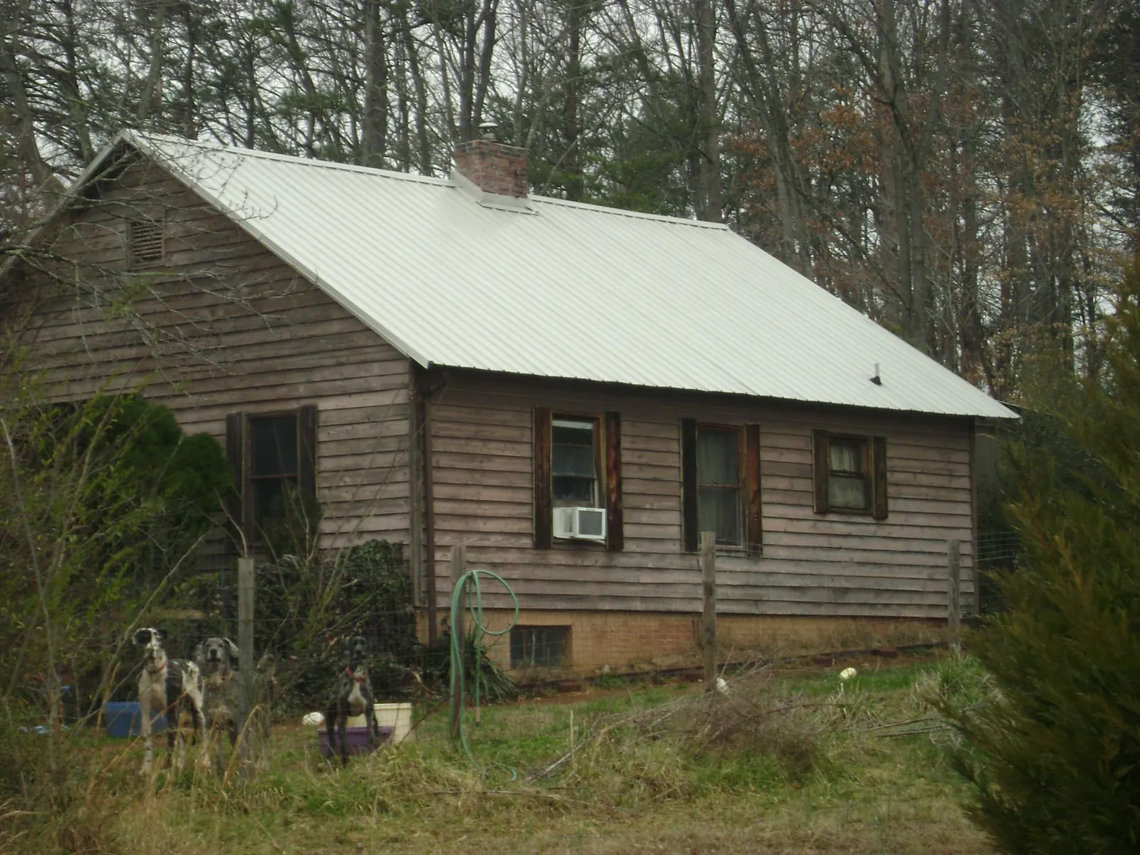 White metal roof on an old wood sided farmhouse, from a Asphalt Shingle Roof Repair job in Firestone